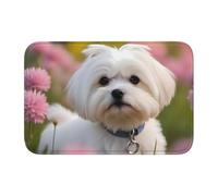 YYHWHJDE Lovely Maltese Dog Picture Crystal Velvet Lock Edge Floor mat, Bedroom Carpet, Parlor, Dormitory Home Decoration