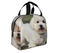 YYHWHJDE Lunch Bag - Durable, Insulated, Portable, Easy to Fold, Suitable for Work, and Outdoor Activities Bichon Frise Dog Printed