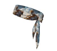 YYHWHJDE Majestic Tiger Resting on a Rock with Cloudy Sky Pattern Sports headscarf, sweat absorbing and breathable, motion headband, double-sided kerchief