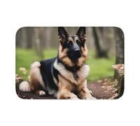 YYHWHJDE Maple German Shepherd Dog Picture Anti Slip and Thickened Floor mat Suitable for bathrooms, bedrooms, Washable Carpet Floor mats 16X24 in