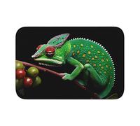 YYHWHJDE Mysterious Chameleon Picture Anti slip and thickened floor mat suitable for bathrooms, bedrooms, washable carpet floor mats 16X24 in