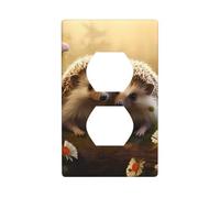 YYHWHJDE Nature Lovely Hedgehog Lovers Picture Double Socket Wall Panel Decorative is Durable and Suitable for Socket Light Switch Accessories 4.5x2.76in