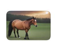 YYHWHJDE Nature Scenic Horse Picture Anti Slip and Thickened Floor mat Suitable for bathrooms, bedrooms, Washable Carpet Floor mats 16X24 in