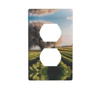 YYHWHJDE Nice Summer Farm Pattern Double Socket Wall Panel Decorative for Residential and Commercial Areas 4.5x2.76in