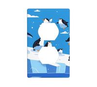 YYHWHJDE Penguins on The Iceberg Pattern Double Socket Wall Panel Decorative is Durable and Suitable for Socket Light Switch Accessories 4.5x2.76in