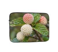 YYHWHJDE Pickled Fruit Picture Shockproof Portable Laptop Sleeve Case 10 inch for Men and Women Business Travel, School, and Office Daily Use