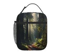 YYHWHJDE Portable Insulated Lunch Bag California Redwood Forest Pattern Reusable Lunch Bag Durable for Men and Women