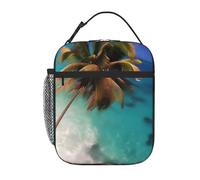 YYHWHJDE Portable Insulated Lunch Bag Caribbean Islands Prints Reusable Lunch Bag Durable for Men and Women Easy Carrying