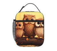 YYHWHJDE Portable Insulated Lunch Bag Cute Brown Cartoon Owls Pattern Reusable Lunch Bag Durable for Men and Women Easy Carrying