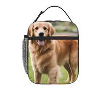 YYHWHJDE Portable Insulated Lunch Bag Cute Golden Retriever Pattern Reusable Lunch Bag Durable for Men and Women Easy Carrying