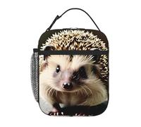 YYHWHJDE Portable Insulated Lunch Bag Cute Hedgehog Prints Reusable Lunch Bag Durable for Men and Women Easy Carrying