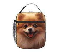 YYHWHJDE Portable Insulated Lunch Bag Cute Pomeranian Pattern Reusable Lunch Bag Durable for Men and Women Easy Carrying
