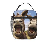 YYHWHJDE Portable Insulated Lunch Bag Funny Donkeys Pattern Reusable Lunch Bag Durable for Men and Women