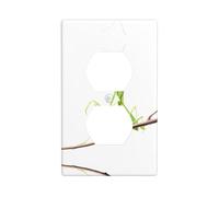 YYHWHJDE Praying Mantis on a Branch Pattern Double Socket Wall Panel Decorative for Residential and Commercial Areas 4.5x2.76in