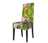YYHWHJDE Protection cover for dining chair Cute Shiba Inu Dog Pattern - Soft, Comfortable, Needed Stretchable for Most Armless Chair
