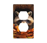 YYHWHJDE Raccoon in The Fall Tree Hole Prints Double Socket Wall Panel Decorative for Residential and Commercial Areas 4.5x2.76in
