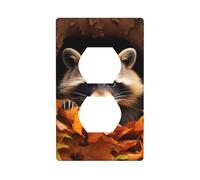 YYHWHJDE Raccoon in The Fall Tree Hole Prints Double Socket Wall Panel Electrical Socket Cover Plate Decoration Heat Resistant 4.5x2.76in