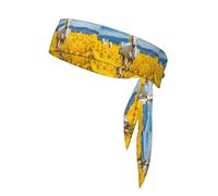 YYHWHJDE Rapeseed Horse Pattern Sports headscarf, sweat absorbing and breathable, motion headband, double-sided kerchief