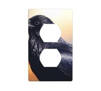 YYHWHJDE Ravens Picture Double Socket Wall Panel Electrical Socket Cover Plate is Shatter Resistant and Durable 4.5x2.76in