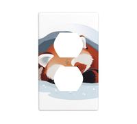 YYHWHJDE Red Panda Sleeping in Snow cave Prints Double Socket Wall Panel Decorative for Residential and Commercial Areas 4.5x2.76in