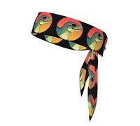 YYHWHJDE Red Sunglasses Dinosaur Prints Sports Double-Sided Headscarf for Women and Men Adjustable for All Head Circumferences