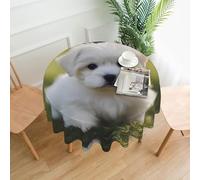 YYHWHJDE Round Decorative Tablecloth 60in Cute Maltese Puppy Picture Waterproof, Washable, and Reusable for Dining, Coffee, Picnic, Wedding, Party