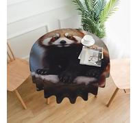 YYHWHJDE Round Decorative Tablecloth 60in Red panda Pattern Waterproof, Washable, and Reusable for Dining, Coffee, Picnic, Wedding, Party