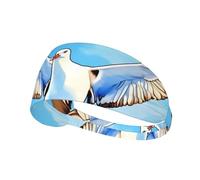 YYHWHJDE Seagulls in Flight Picture Sports Headband for Women Sweat Proof Bandeau Summer Elastic Band