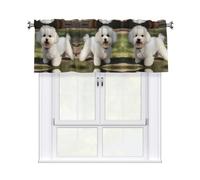 YYHWHJDE Short Curtains with Valance Rod 54x18in Bichon Frise Dog Printing for Kitchen, Bathroom, Laundry Room, Studio, Fits Most Standard or Decorative Curtain Rods
