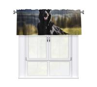 YYHWHJDE Short Curtains with Valance Rod 54x18in Black german shepherd dog Picture for Kitchen, Bathroom, Laundry Room, Studio, Fits Most Standard or Decorative Curtain Rods