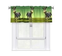 YYHWHJDE Short Curtains with Valance Rod 54x18in cartoon donkey -ar Picture for Kitchen, Bathroom, Laundry Room, Studio, Fits Most Standard or Decorative Curtain Rods