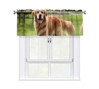 YYHWHJDE Short Curtains with Valance Rod 54x18in cute golden retriever Printing for Kitchen, Bathroom, Laundry Room, Studio, Fits Most Standard or Decorative Curtain Rods