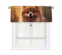 YYHWHJDE Short Curtains with Valance Rod 54x18in cute pomeranian Printing for Kitchen, Bathroom, Laundry Room, Studio, Fits Most Standard or Decorative Curtain Rods
