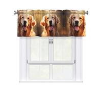 YYHWHJDE Short Curtains with Valance Rod 54x18in dog golden retriever Picture for Kitchen, Bathroom, Laundry Room, Studio, Fits Most Standard or Decorative Curtain Rods