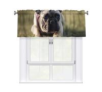 YYHWHJDE Short Curtains with Valance Rod 54x18in French Bulldog Dog Cute Picture for Kitchen, Bathroom, Laundry Room, Studio, Fits Most Standard or Decorative Curtain Rods
