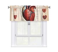 YYHWHJDE Short Curtains with Valance Rod 54x18in Human Anatomy Heart Chart Prints for Kitchen, Bathroom, bedroom, Studio, Fits Most Standard or Decorative Curtain Rods