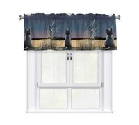 YYHWHJDE Short Curtains with Valance Rod 54x18in Kitten looking at the moon Pattern for Kitchen, Bathroom, bedroom, Studio, Fits Most Standard or Decorative Curtain Rods