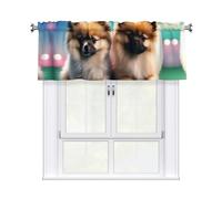 YYHWHJDE Short Curtains with Valance Rod 54x18in Pomeranians Puppies and Point Picture for Kitchen, Bathroom, Laundry Room, Studio, Fits Most Standard or Decorative Curtain Rods