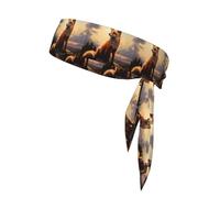 YYHWHJDE Snow fox on the hill Prints Sports Double-Sided Headscarf for Women and Men Adjustable for All Head Circumferences