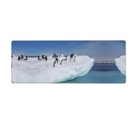 YYHWHJDE Snow mountain penguin Prints Mouse Pad 12x31.5in
