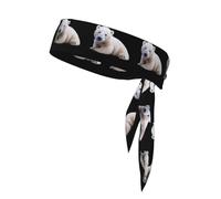 YYHWHJDE Snow white polar bear Pattern Sports Double-Sided Headscarf Quick Drying, Moisture Wicking for Women, Girls, and Men