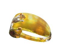 YYHWHJDE Squirrel Eating Walnut Picture Sports Headband for Women Sweat Proof Bandeau Summer Elastic Band