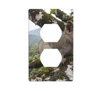YYHWHJDE Squirrel in Ancient Tree Picture Double Socket Wall Panel Decorative is Durable and Suitable for Socket Light Switch Accessories 4.5x2.76in