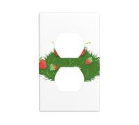 YYHWHJDE Strawberries Fallen on The Grass Pattern Double Socket Wall Panel Decorative is Durable and Suitable for Socket Light Switch Accessories 4.5x2.76in