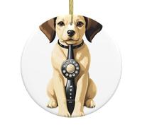 YYHWHJDE Stylish Puppy Phone Picture Christmas Ceramic Decoration Circular Interior Decoration Gift -2.9 in