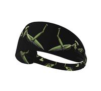 YYHWHJDE The Brave Mantis Picture Sports Headband for Women Sweat Proof Bandeau Summer Elastic Band