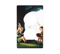 YYHWHJDE The Elf of Learning Magic Books Picture Double Socket Wall Panel Decorative is Durable and Suitable for Socket Light Switch Accessories 4.5x2.76in