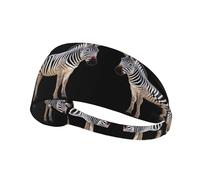 YYHWHJDE The Honest Zebra Picture Sports Headband for Women Sweat Proof Bandeau Summer Elastic Band