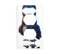 YYHWHJDE The Owl That Never Sleeps Pattern Double Socket Wall Panel Decorative is Durable and Suitable for Socket Light Switch Accessories 4.5x2.76in