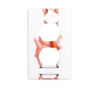 YYHWHJDE The Piglet Happily Nibbles a Carrot Picture Double Socket Wall Panel Electrical Socket Cover Plate is Shatter Resistant and Durable 4.5x2.76in